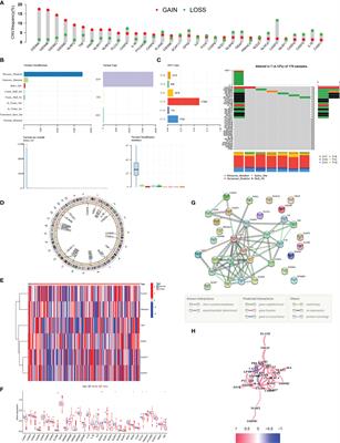 Exploring the Potential of Pyroptosis-Related Genes in Predicting Prognosis and Immunological Characteristics of Pancreatic Cancer From the Perspective of Genome and Transcriptome